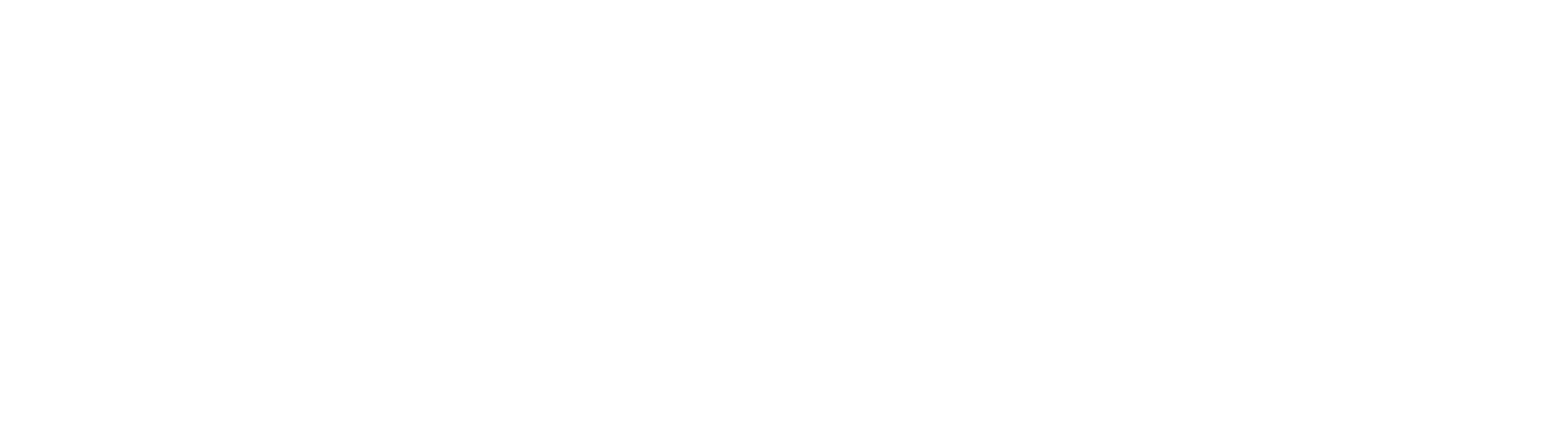 Logo PINTEC